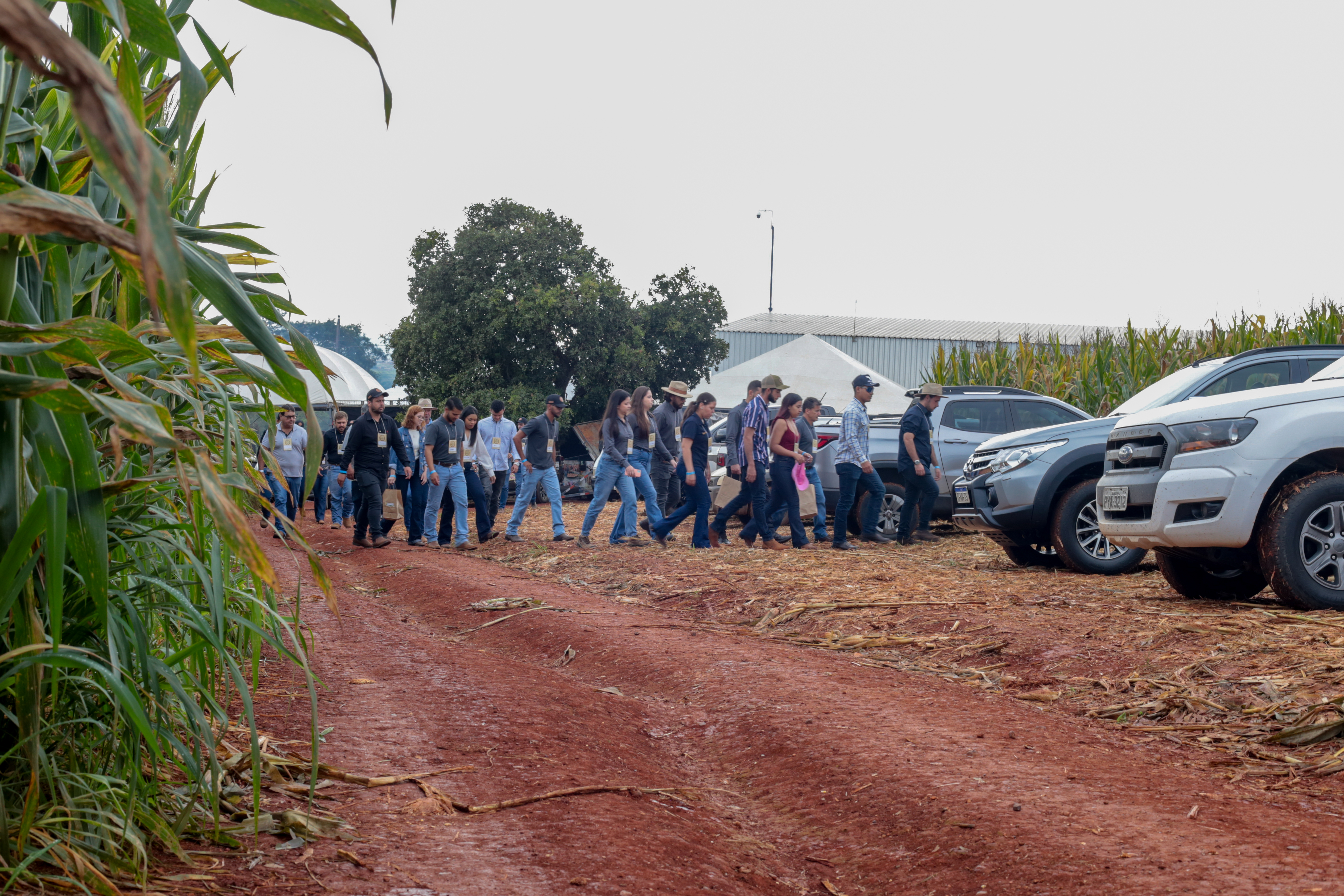 2° Dia de Campo - Foto 25